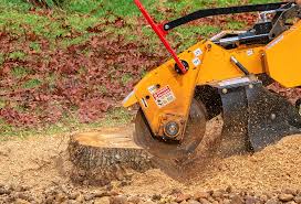 Best Lawn Mowing  in Laguna Niguel, CA